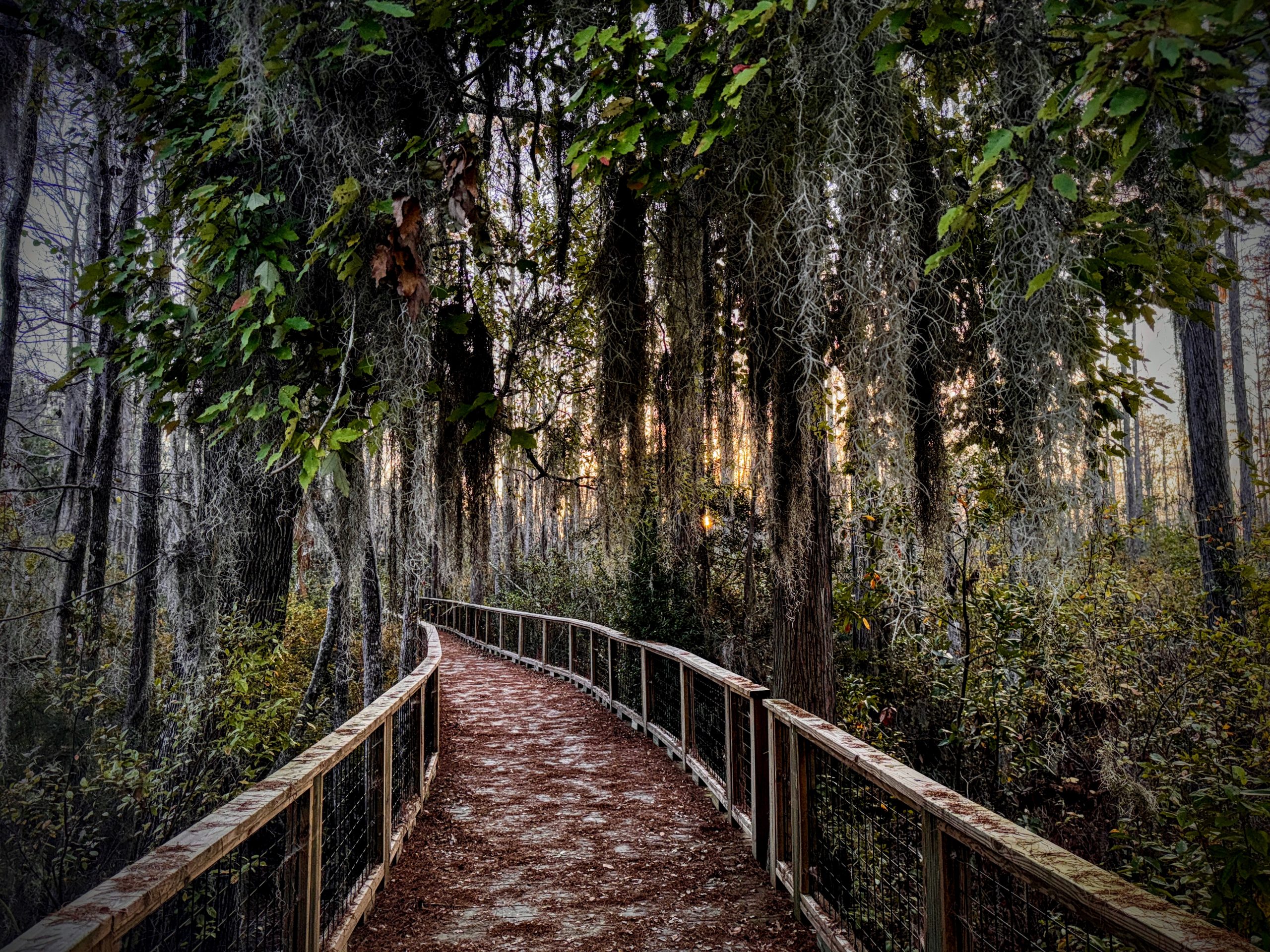 Stephen C. Foster State Park